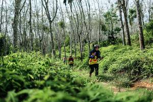 BIB: 
                            <button type="button" onclick="openModal(26355393)" class="btn btn-primary btn-sm float-right btn-popup" data-toggle="modal" data-target=".modal-high-quality">
                        <i class="fas fa-shopping-cart"></i> Add to Cart
                    </button>
                                            <button type="button" onclick="isThisMe(26355393, true)" class="btn btn-success btn-sm float-right btn-popup btn-isme hidden" data-toggle="tooltip" data-placement="bottom" title="นี่คือรูปของคุณใช่ไหม คลิกที่นี่เพื่อเอาเข้าอัลบั้ม">
                        <i class="fas fa-plus"></i> Add to album
                    </button>
                    <button type="button" onclick="isThisMe(26355393, false)" class="btn btn-warning btn-sm float-right btn-popup btn-isnotme hidden">
                        <i class="fas fa-ban"></i> Remove from album
                    </button>